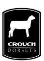 Crouch Dorsets